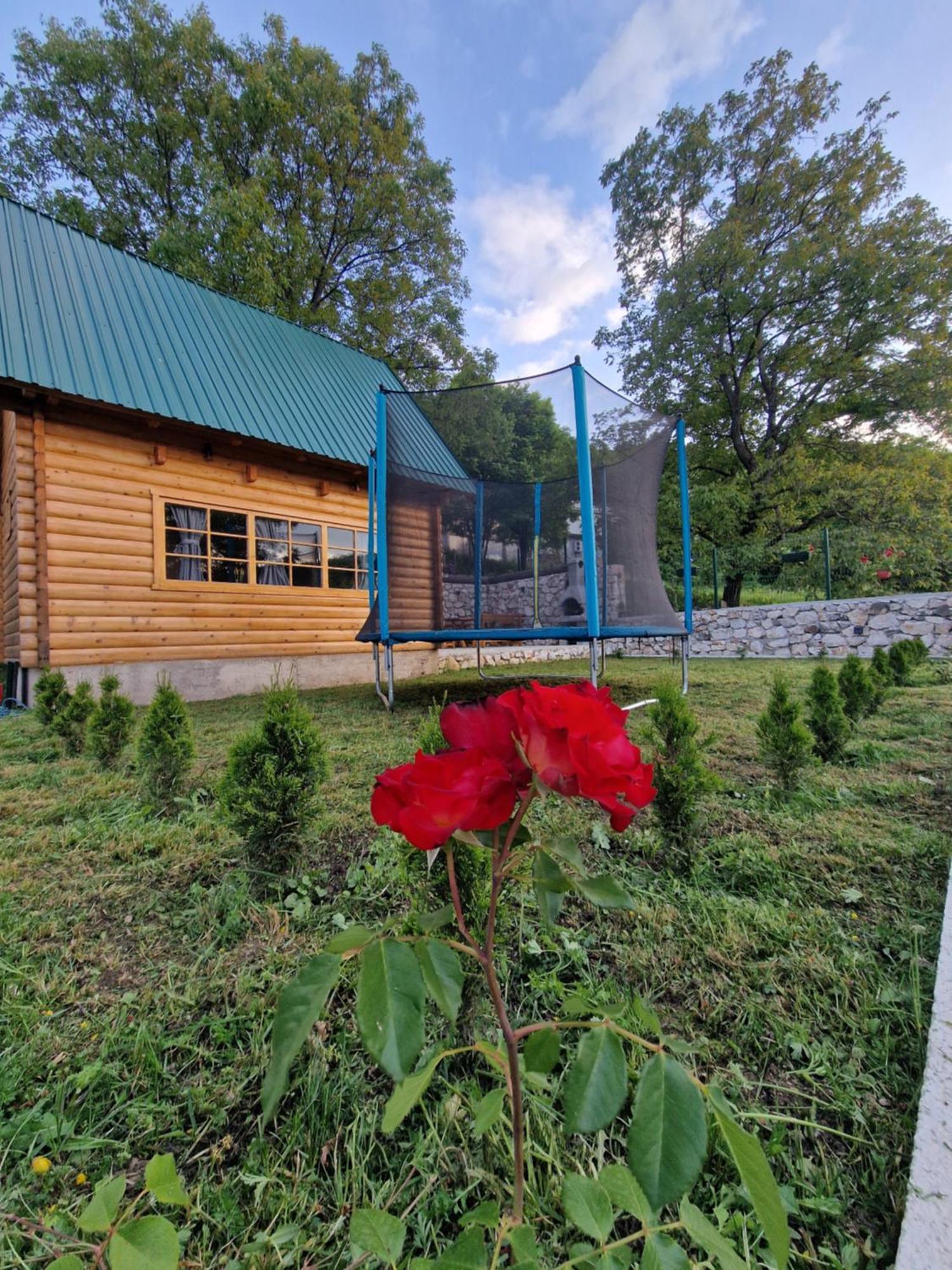 Villa Brvnara Ricki Cetinje Exterior foto