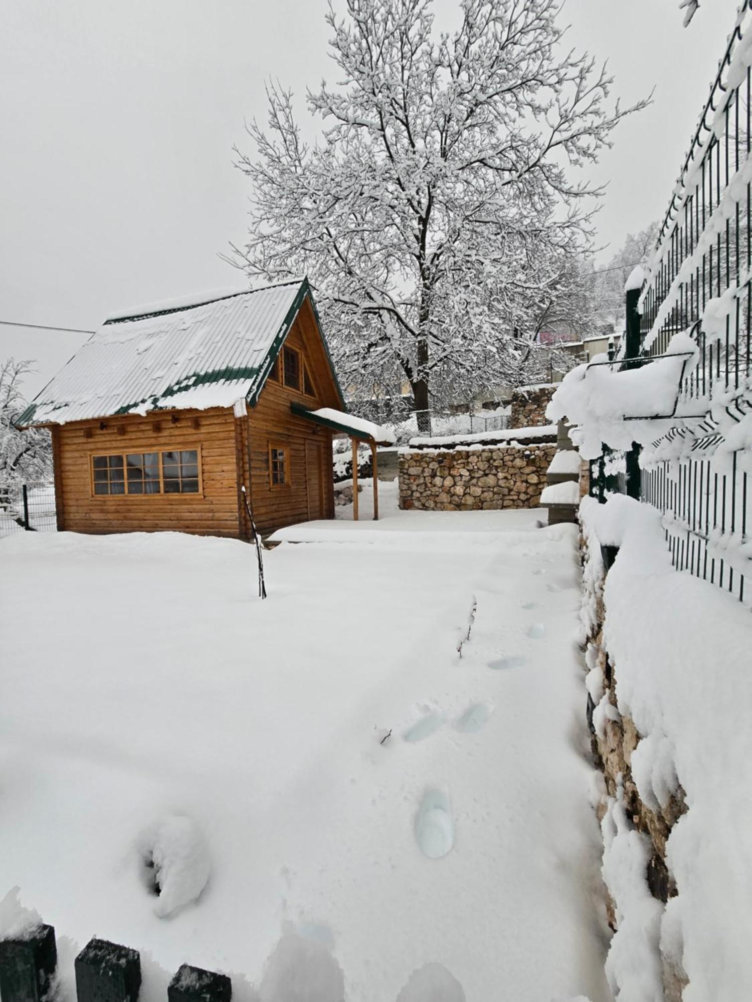 Villa Brvnara Ricki Cetinje Exterior foto